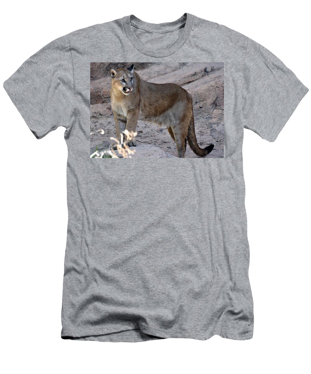 Cruz T-Shirt featuring the photograph Cruz - Sonora Desert Mountain Lion by Mark Valentine
