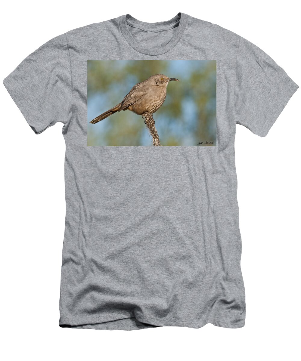 Animal T-Shirt featuring the photograph Curve-Billed Thrasher by Jeff Goulden