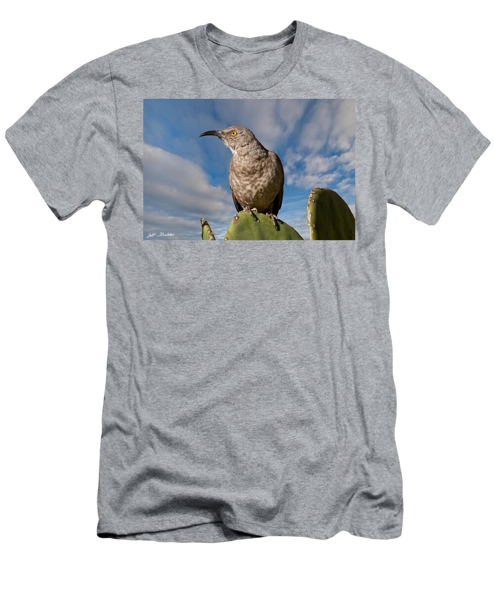 Animal T-Shirt featuring the photograph Curve-Billed Thrasher on a Prickly Pear Cactus by Jeff Goulden