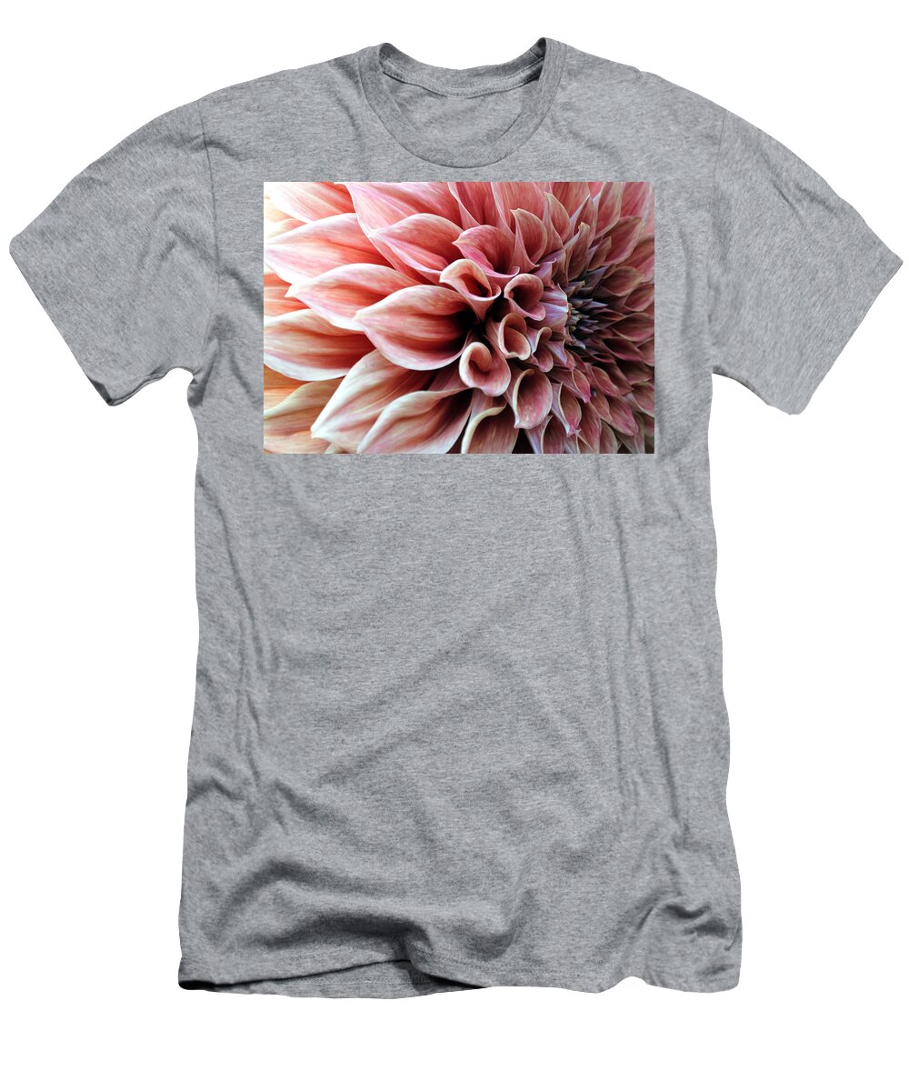 Dahlia T-Shirt featuring the photograph Dahlia during spring by Sumit Mehndiratta