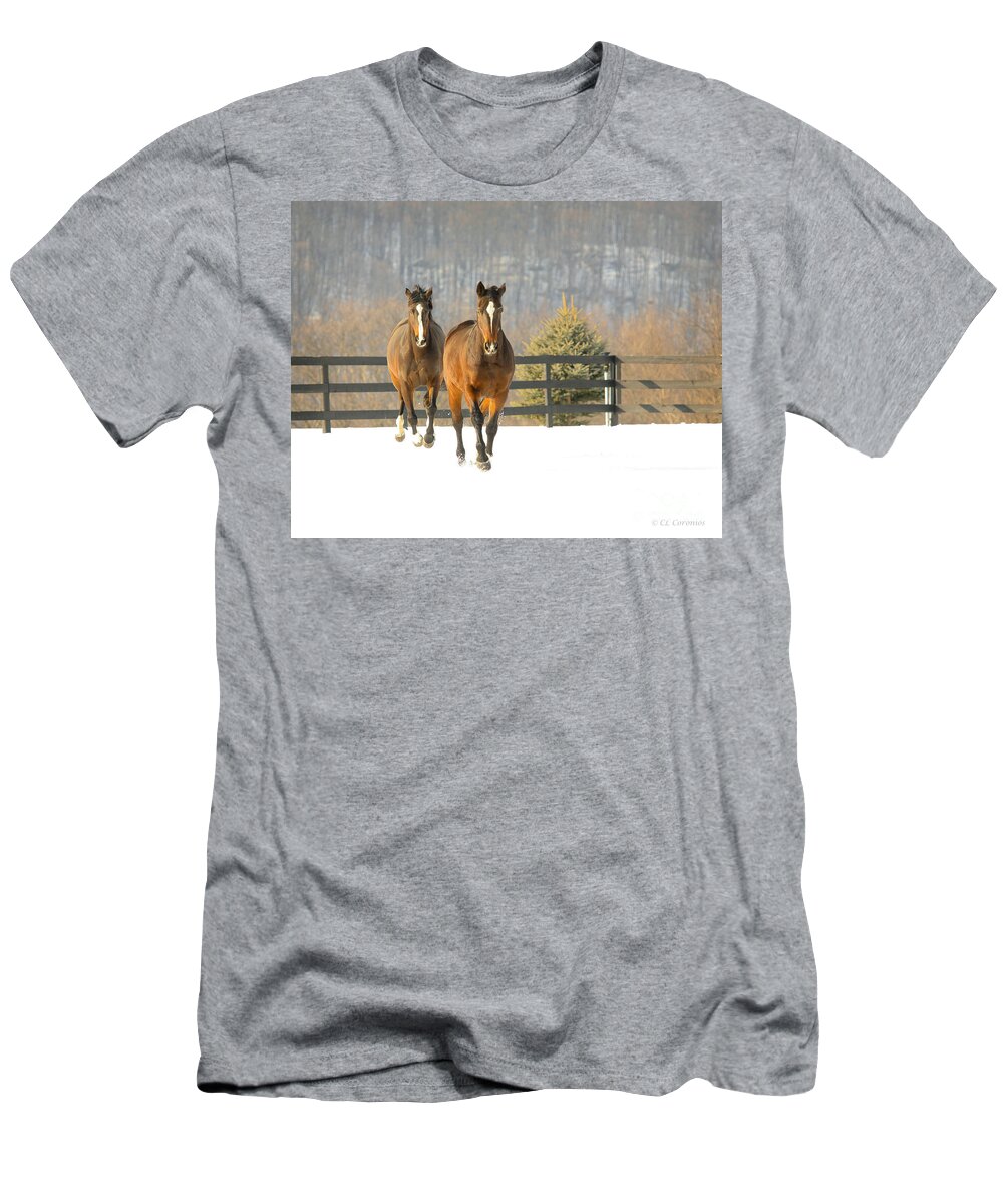 Horses T-Shirt featuring the photograph Dashing through the Snow by Carol Lynn Coronios