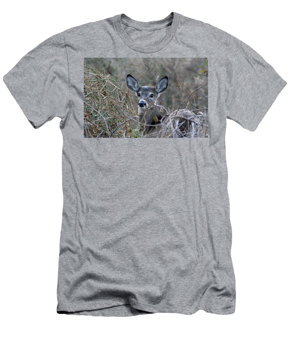 Karen Silvestri T-Shirt featuring the photograph Deer by Karen Silvestri