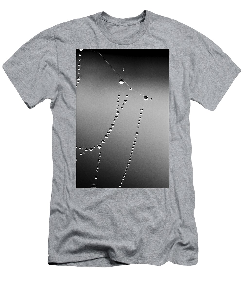 Dew Drops T-Shirt featuring the photograph Dew Drops on Web by Marty Saccone