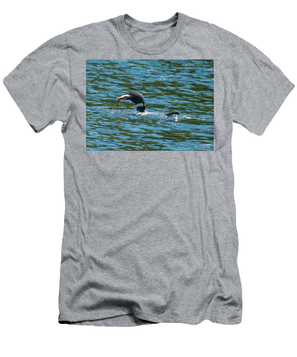 Birds T-Shirt featuring the photograph Dinner Time by Brenda Jacobs