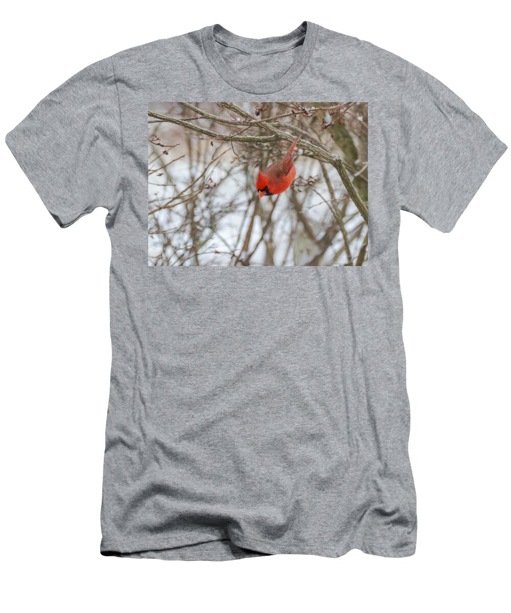Jan Holden T-Shirt featuring the photograph Diving Cardinal by Holden The Moment