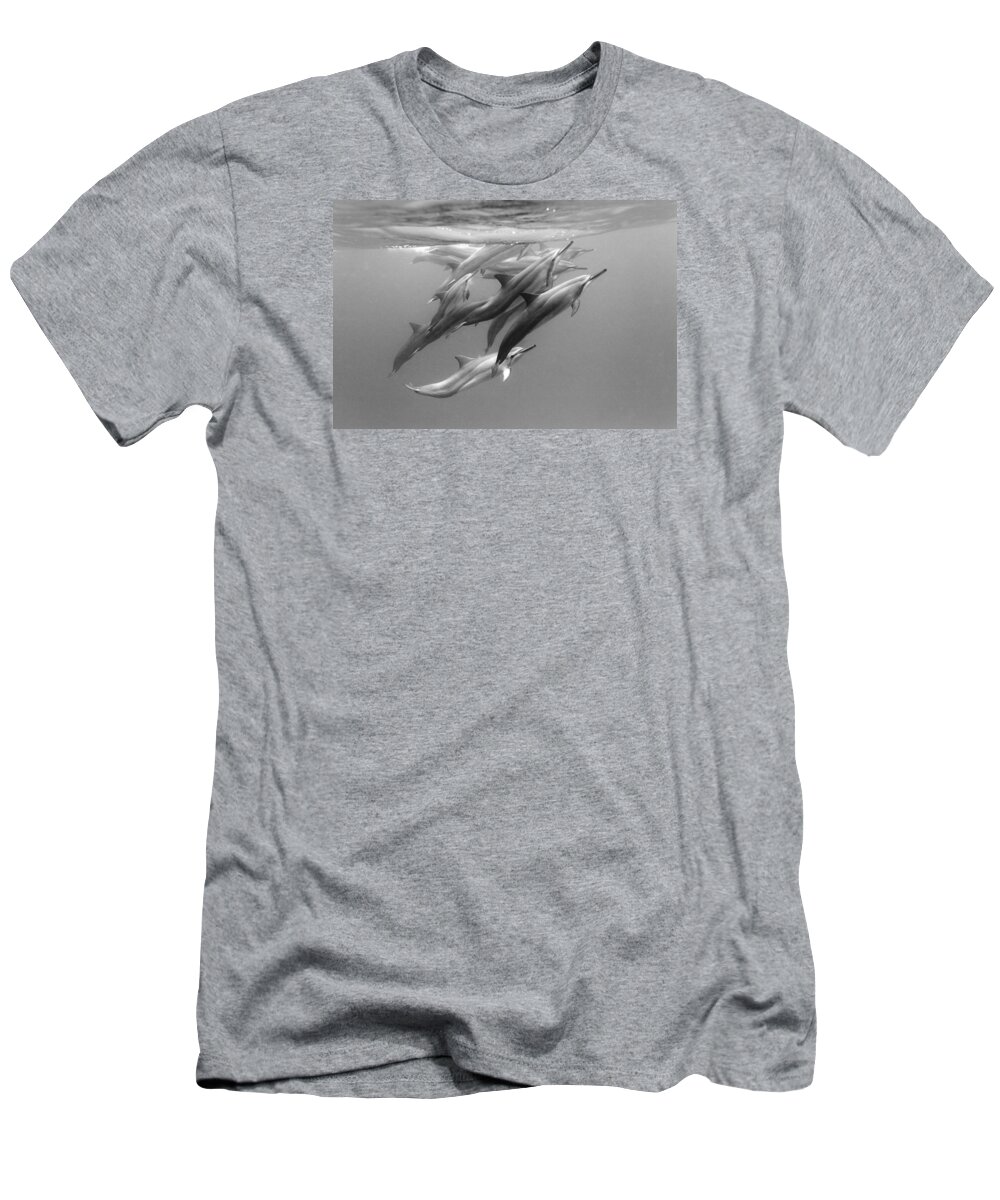#faatoppicks T-Shirt featuring the photograph Dolphin Pod by Sean Davey