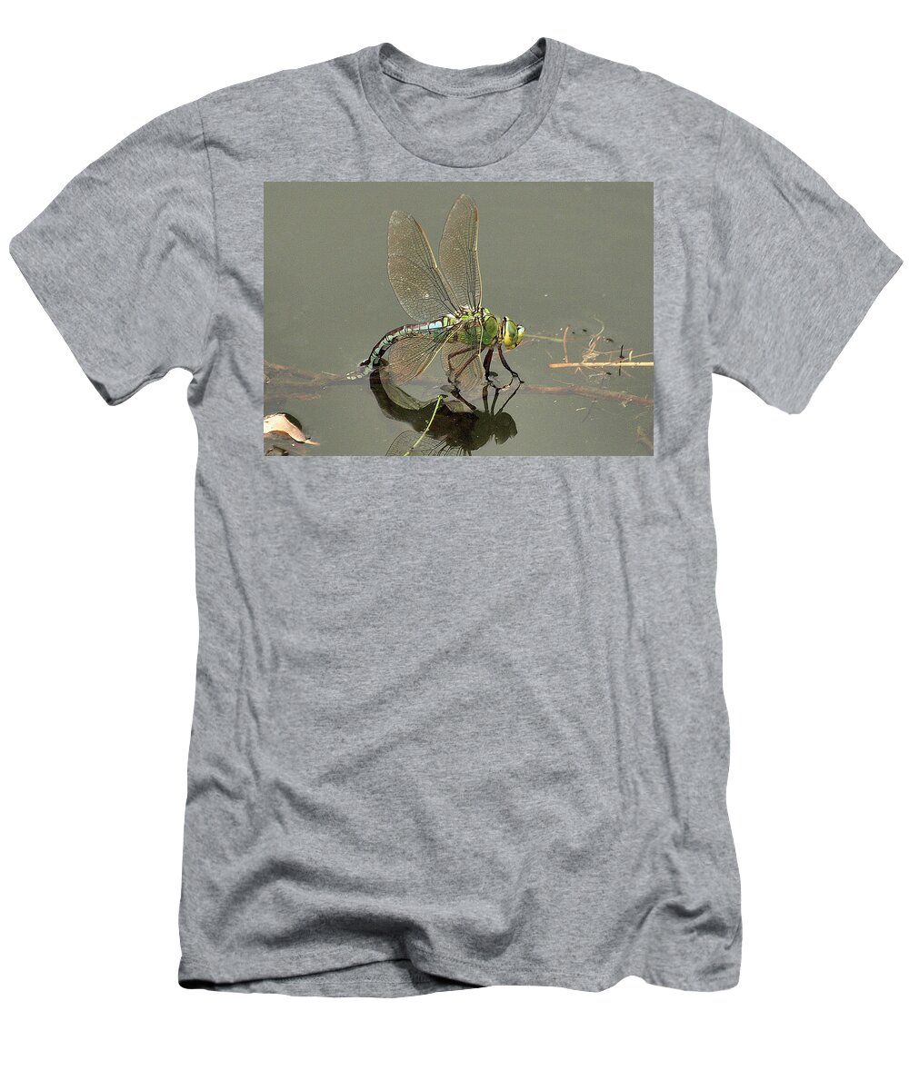 Nature T-Shirt featuring the photograph Dragonfly by Richard Denyer