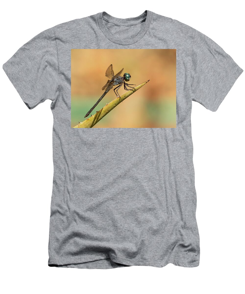Dragonfly T-Shirt featuring the photograph Dragonlet by Erin Thomsen
