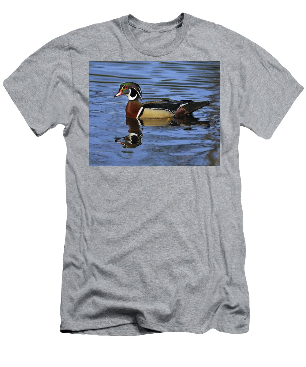 Wood Duck T-Shirt featuring the photograph Drake Wood Duck by Tony Beck