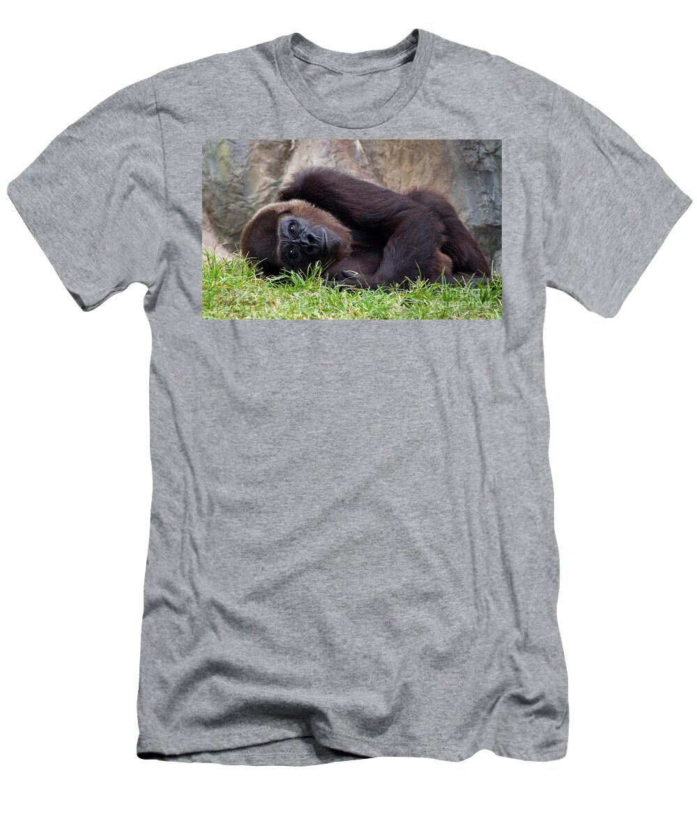 Busch Gardens T-Shirt featuring the photograph Dreamy Thoughts by Sue Karski