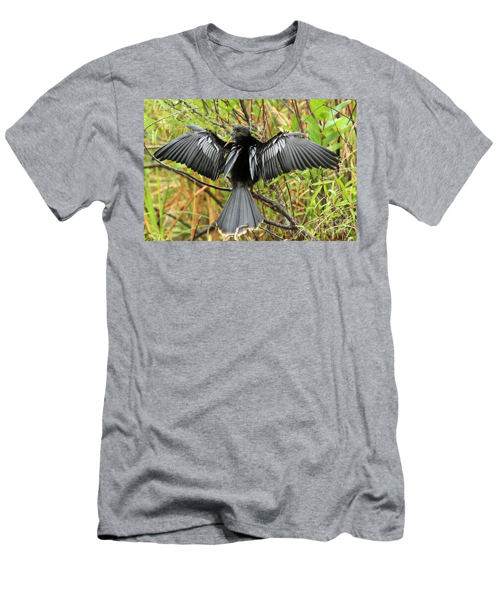 Anhinga T-Shirt featuring the photograph Drying In The Wind by Adam Jewell