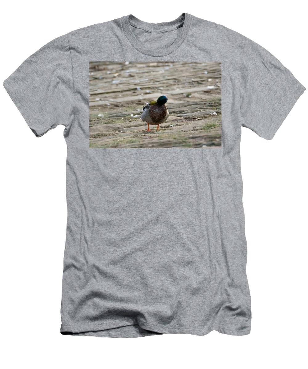 Duck T-Shirt featuring the photograph Duck Shakes It Off by Holden The Moment