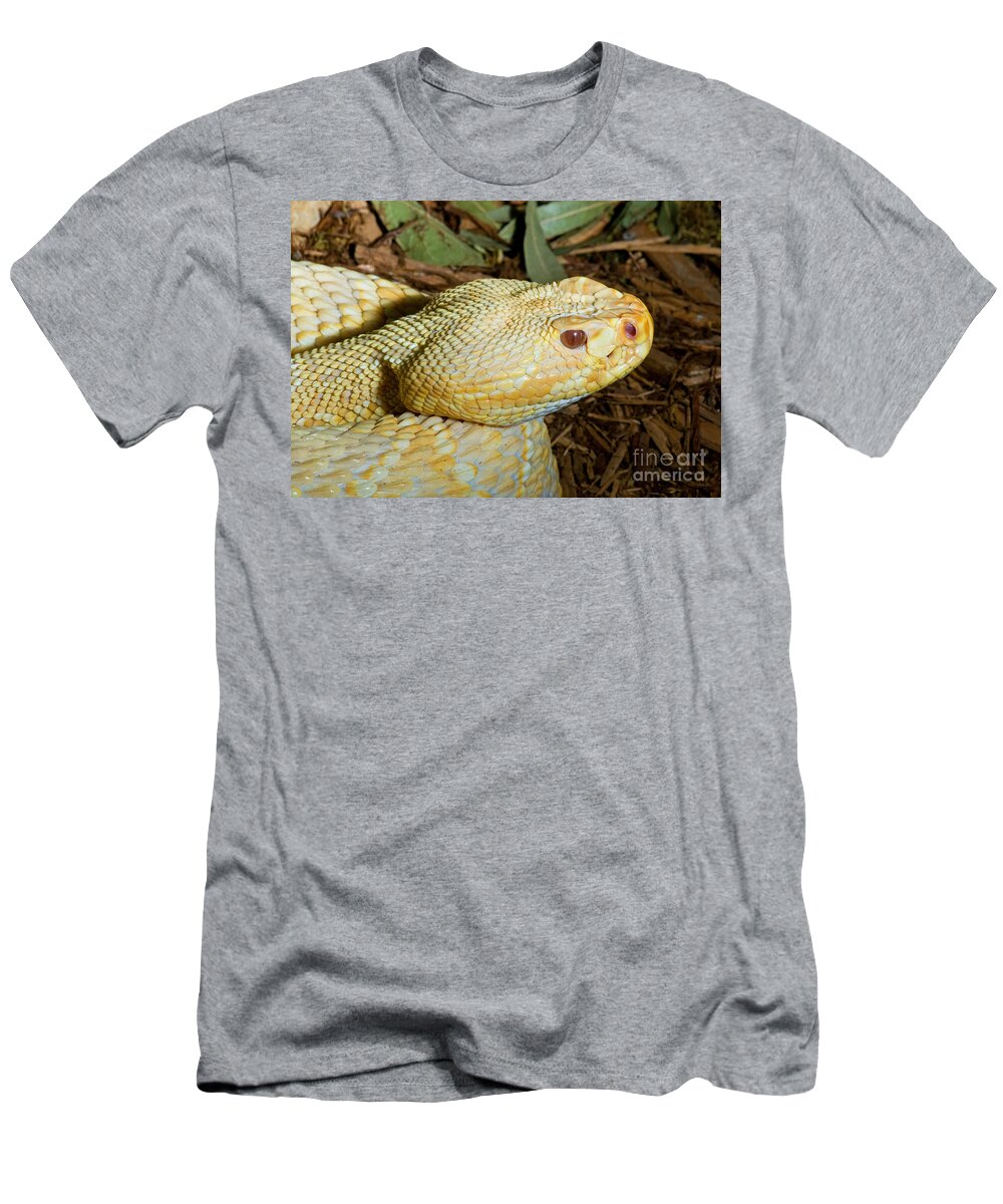 Florida T-Shirt featuring the photograph Eastern Diamondback Rattlesnake Albino by Millard Sharp
