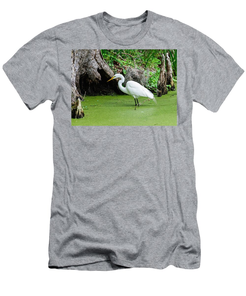 Egret T-Shirt featuring the photograph Egret fishing by John Johnson