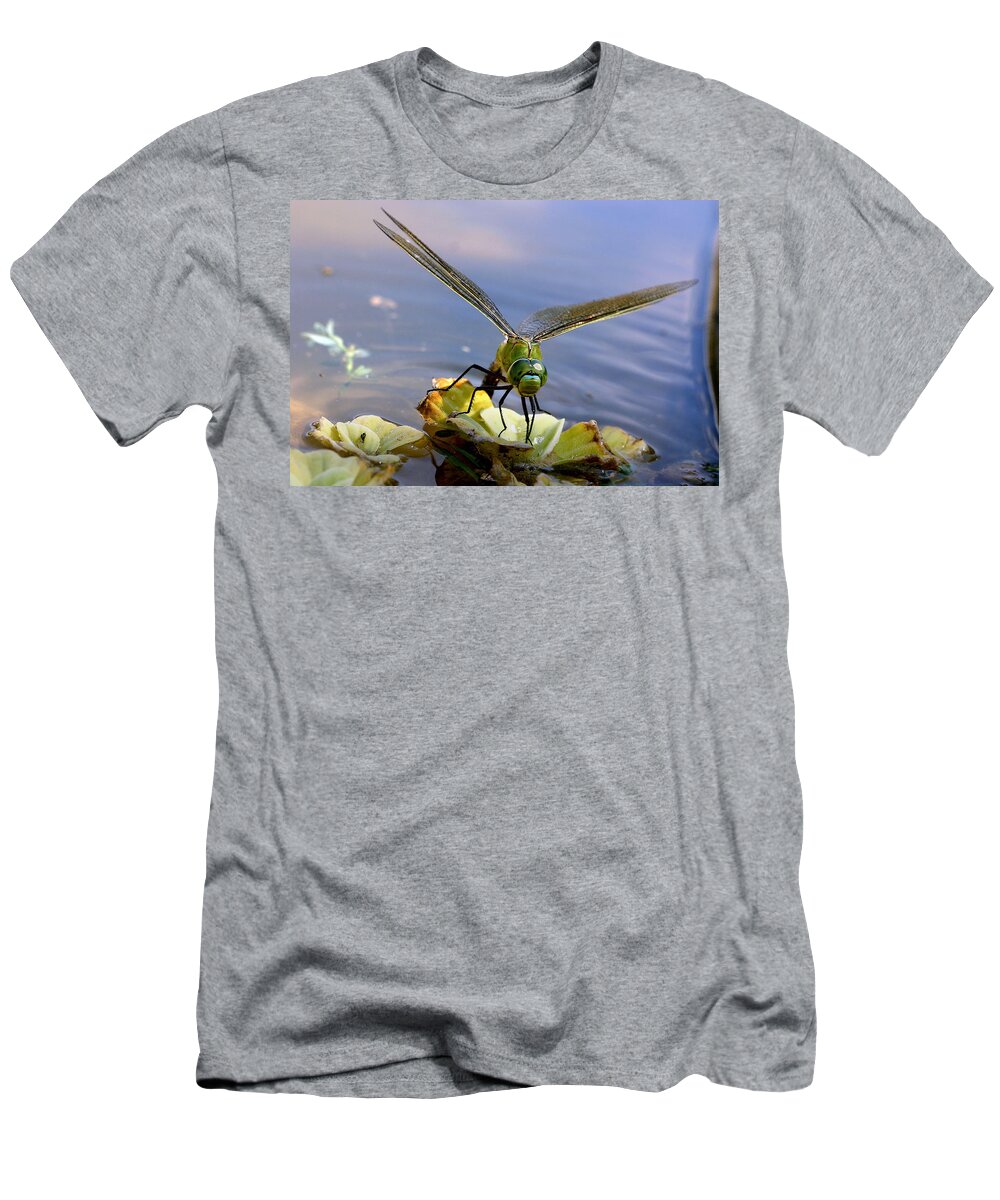 Emperor Dragonfly T-Shirt featuring the photograph Emperor Dragonfly by M. Watson