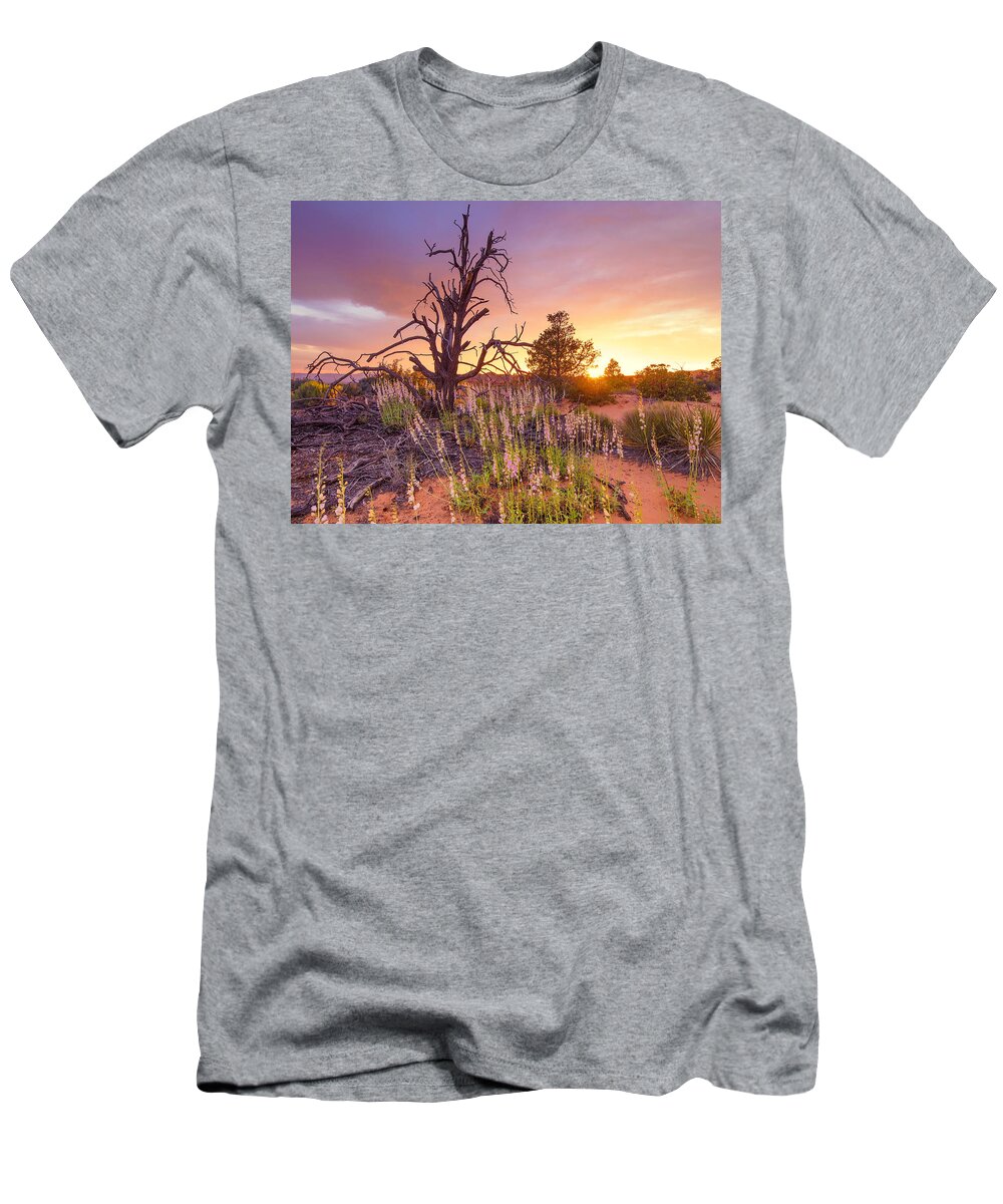 Desert Sunset T-Shirt featuring the photograph Enchanted by Emily Dickey