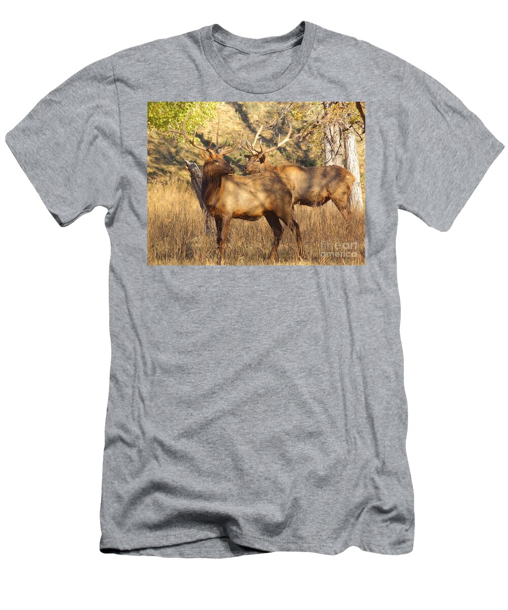 Mammal T-Shirt featuring the photograph Evening Sets On The Elk by Robert Frederick