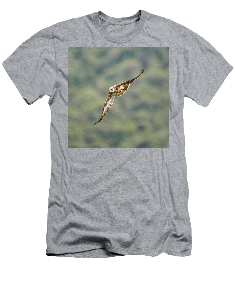 Africa T-Shirt featuring the photograph Falcon by Alistair Lyne