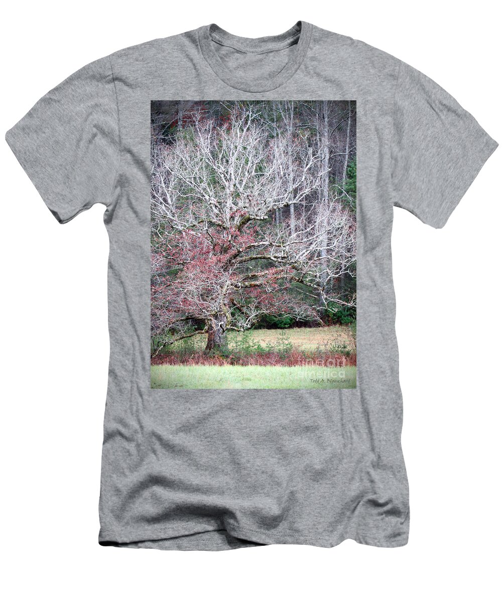 Landscape T-Shirt featuring the photograph Fall At Cades Cove by Todd Blanchard