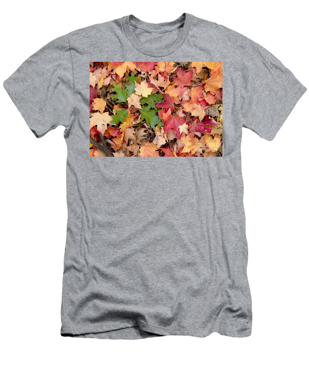 Arboretum T-Shirt featuring the photograph Fall colors by Steven Ralser