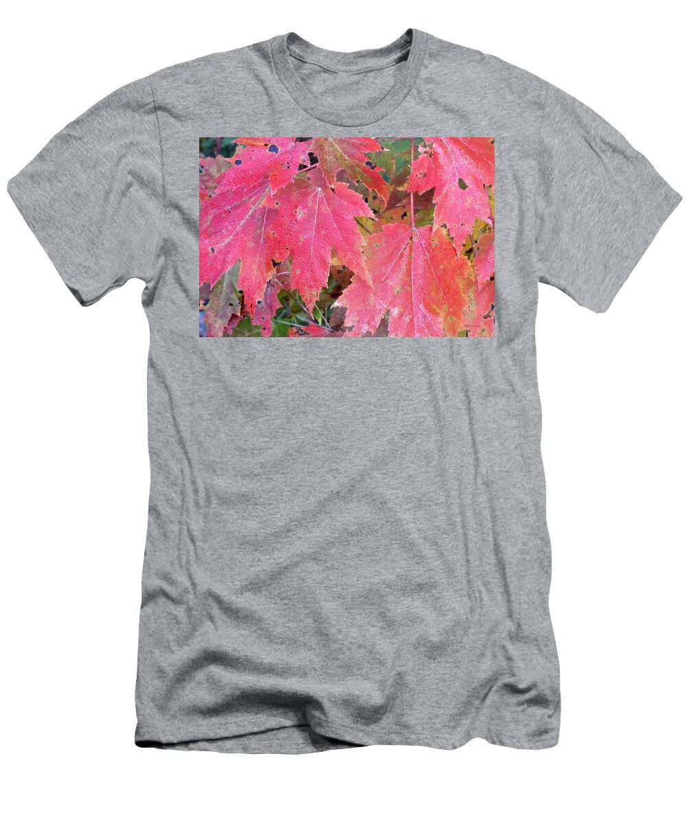Duane Mccullough T-Shirt featuring the photograph Fall Maples Leaves 1 by Duane McCullough