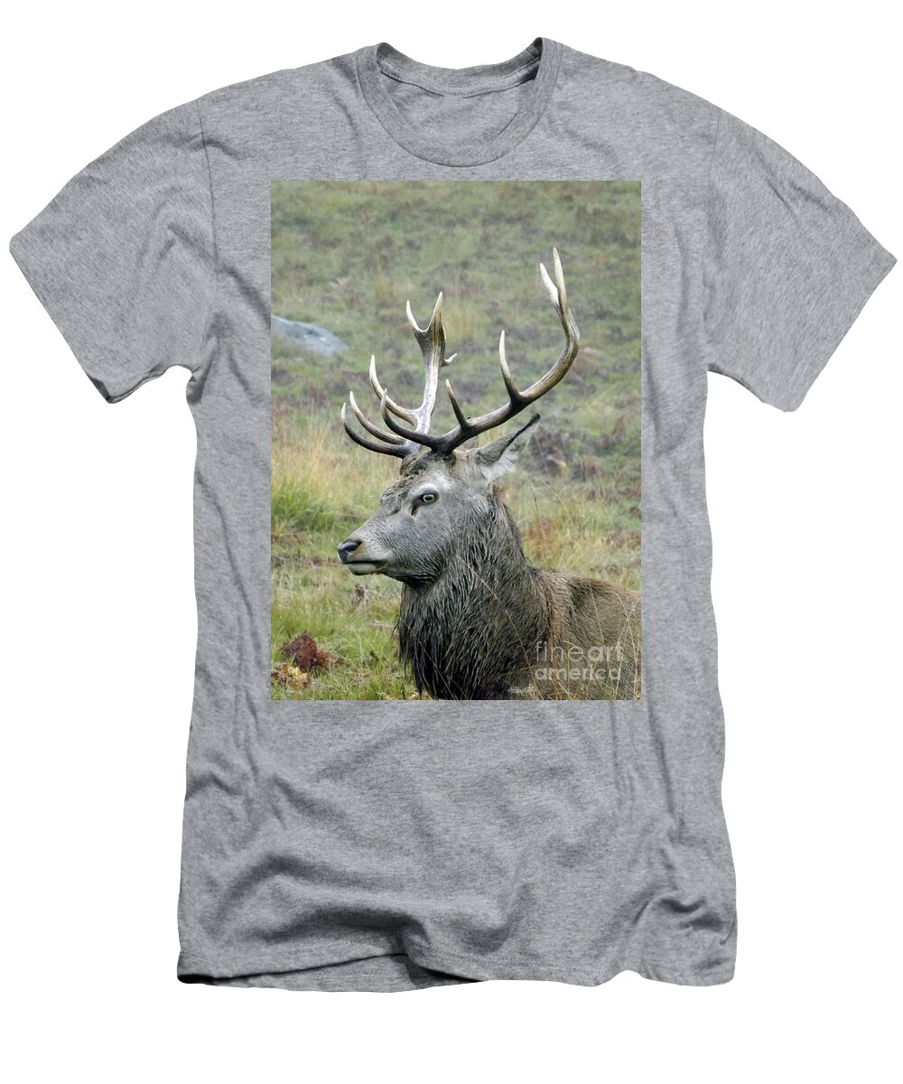 Deer T-Shirt featuring the photograph Stag Party The series Father To Be. by Linsey Williams