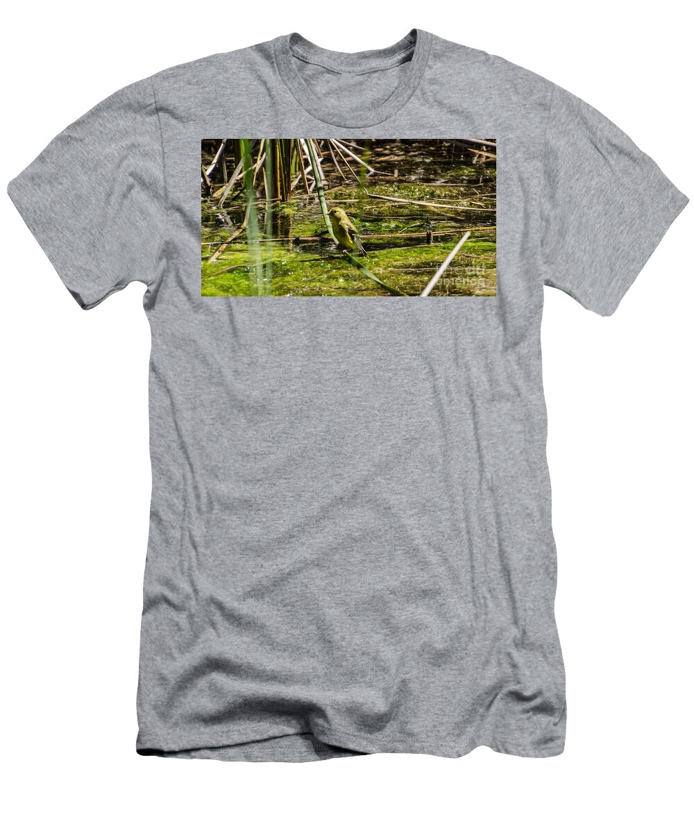 Water T-Shirt featuring the photograph Female Gold Finch Drinking by Donna Brown