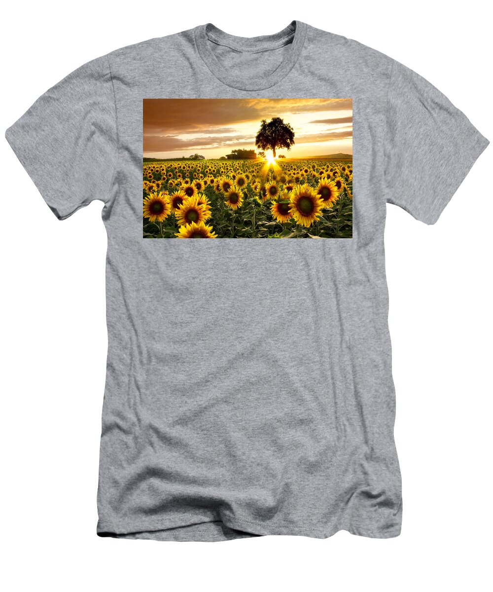 Appalachia T-Shirt featuring the photograph Fields of Gold by Debra and Dave Vanderlaan