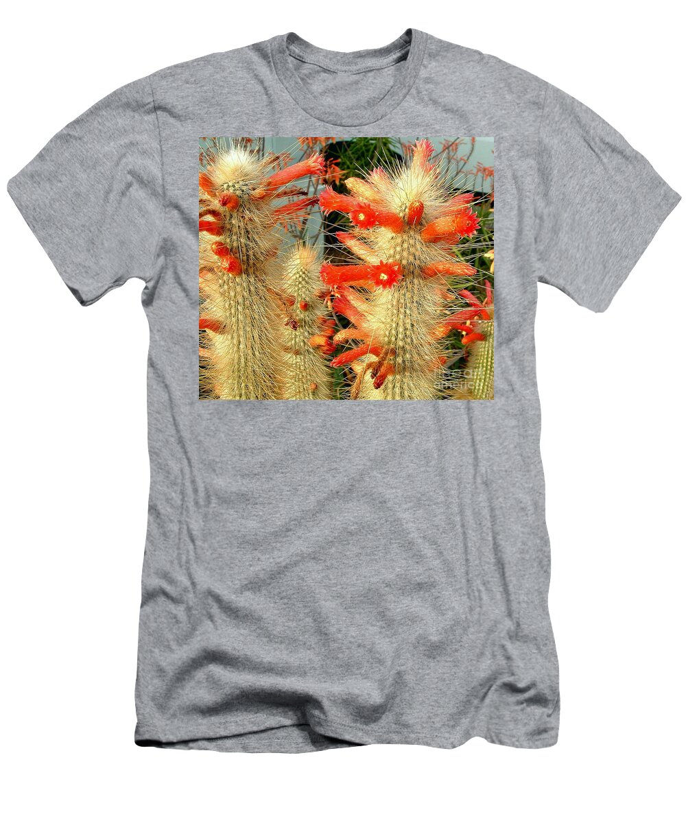 Scarlet Bugler T-Shirt featuring the photograph Firecracker Cactus by Marilyn Smith