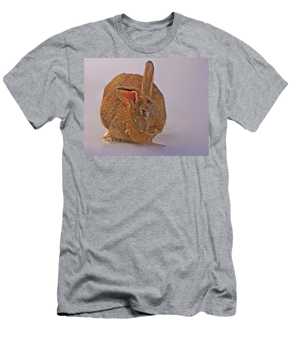 Mammal T-Shirt featuring the photograph Flemish by Jack Milchanowski
