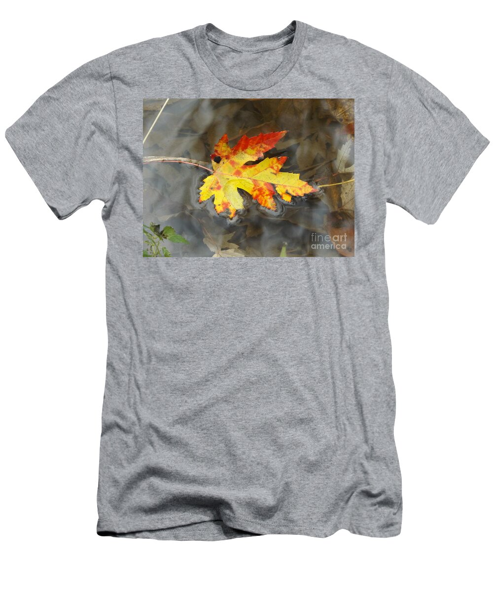 Nature Birch Tree Woods Fall Autumn Outside Trees Water Ripples River Pond T-Shirt featuring the photograph Floating Autumn Leaf by Erick Schmidt