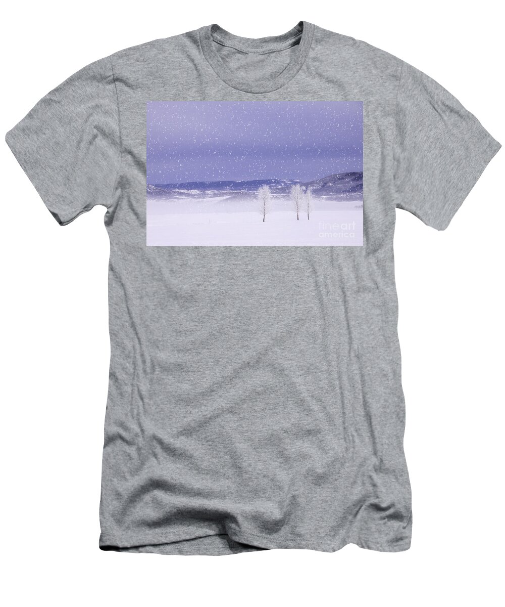 Colorado T-Shirt featuring the photograph Flurry Trio by Kristal Kraft