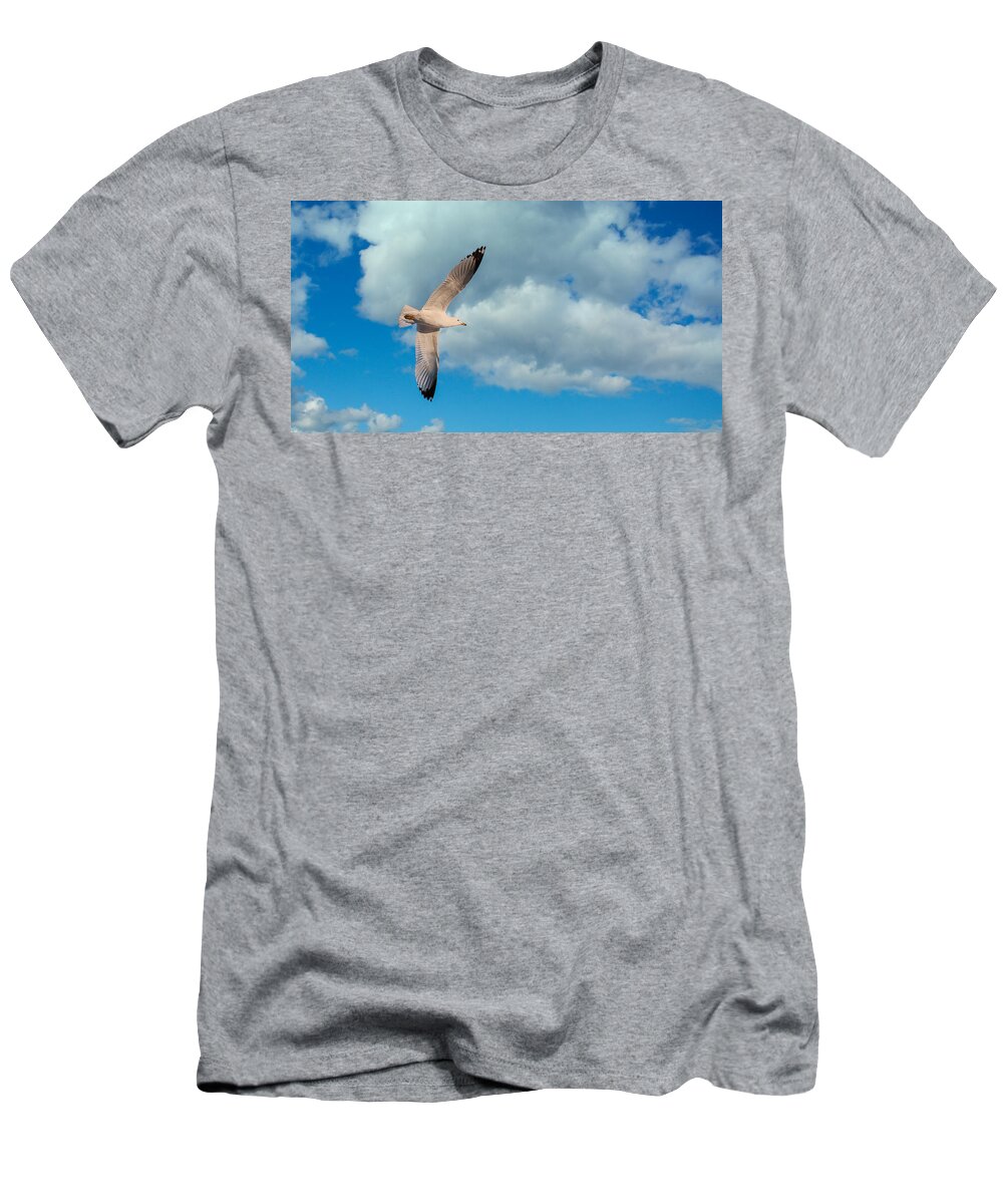 Seagull T-Shirt featuring the photograph Flying High by Bianca Nadeau