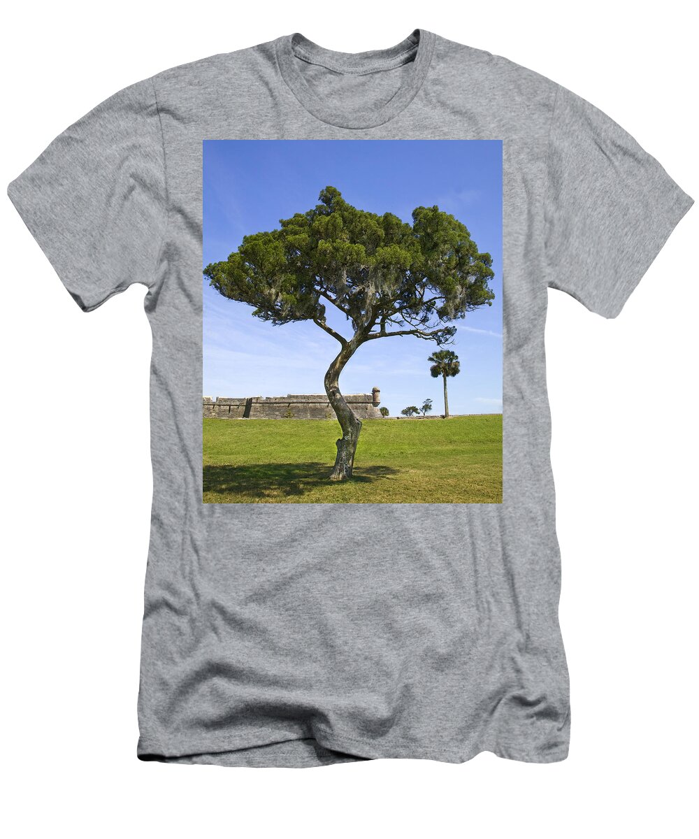 Tree T-Shirt featuring the photograph Fort It Tude 2 by Rich Franco