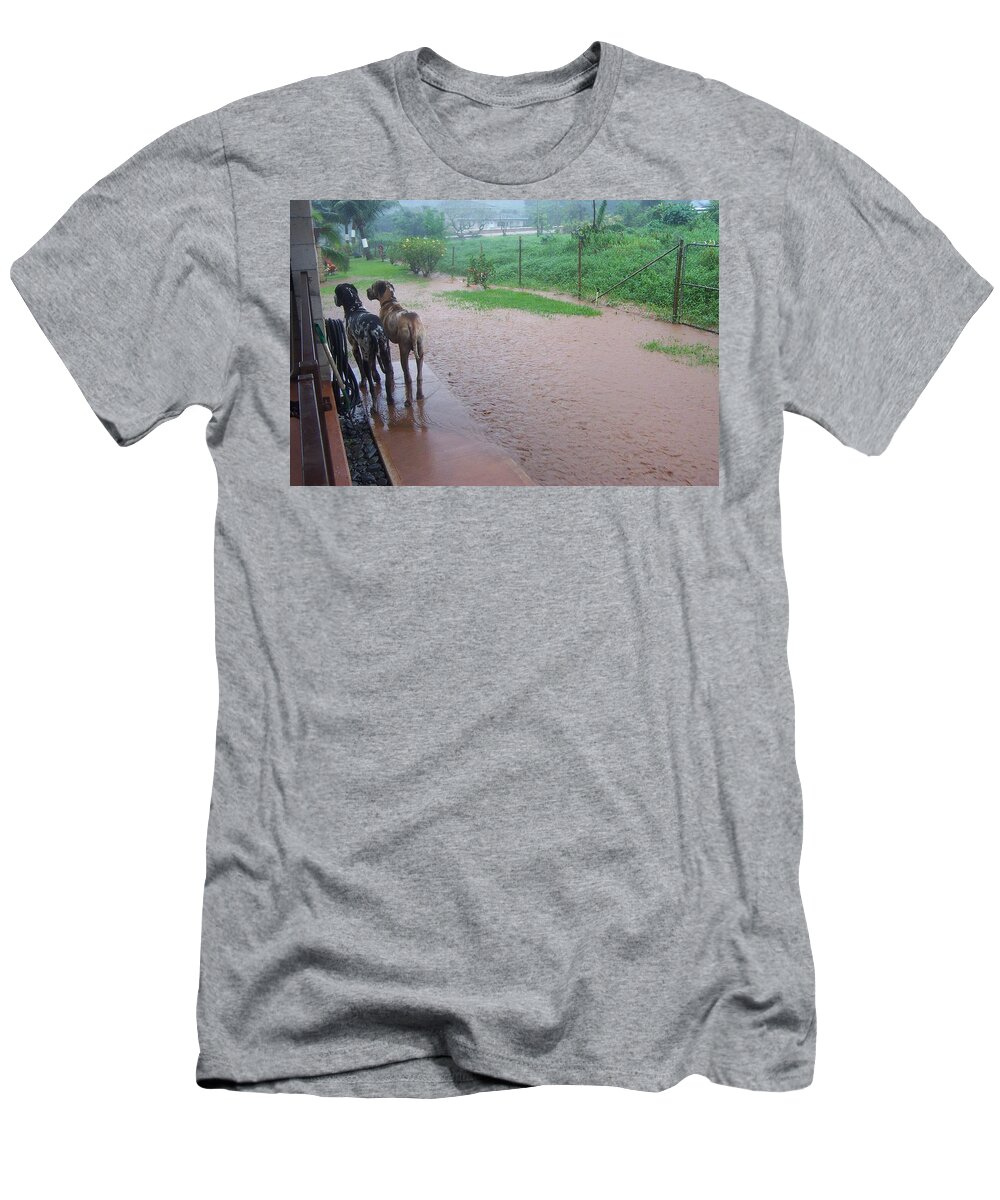 Hawaiian Rain T-Shirt featuring the photograph Forty Days by Cornelia DeDona