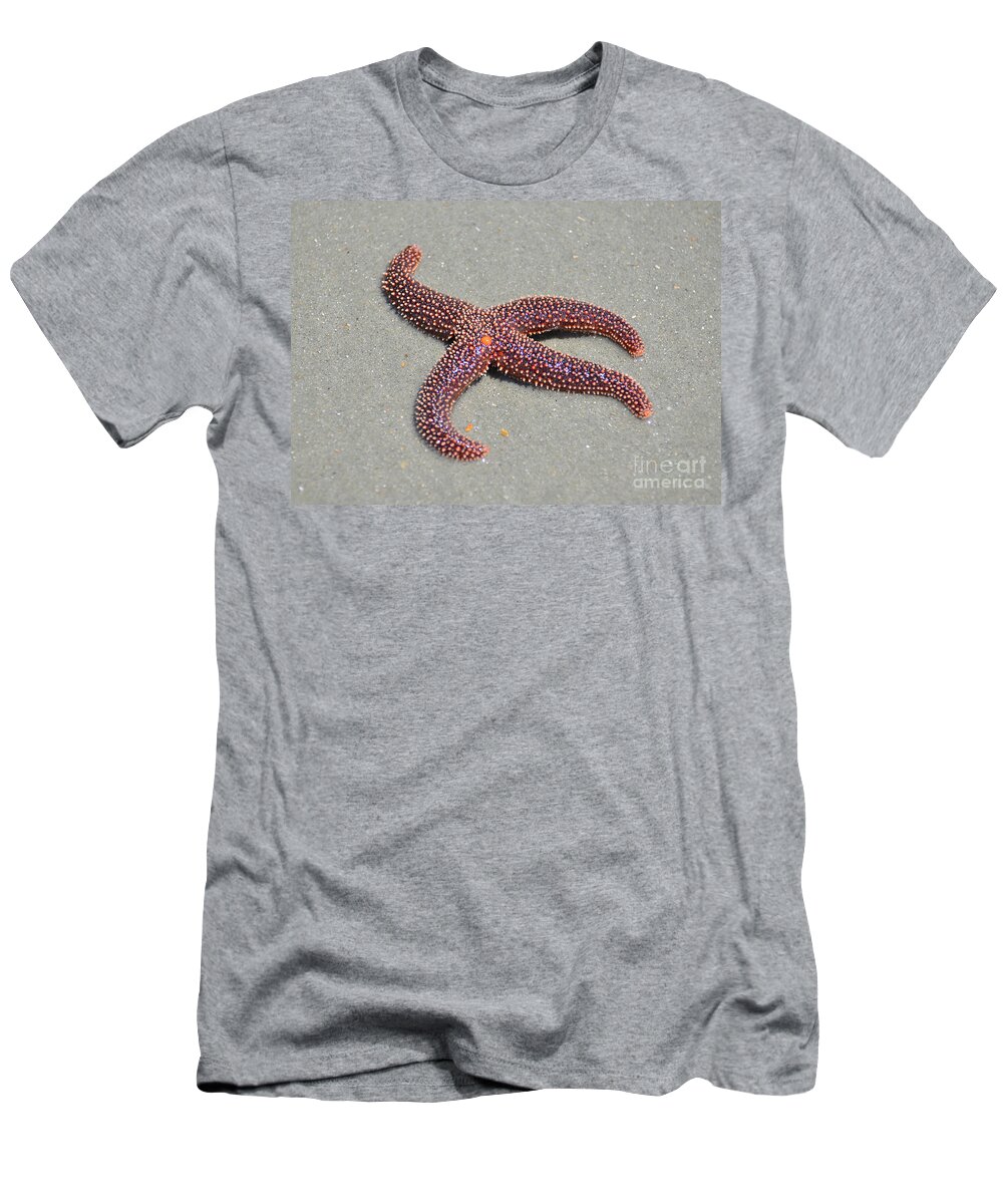 Starfish T-Shirt featuring the photograph Four Legged Starfish by Kathy Baccari