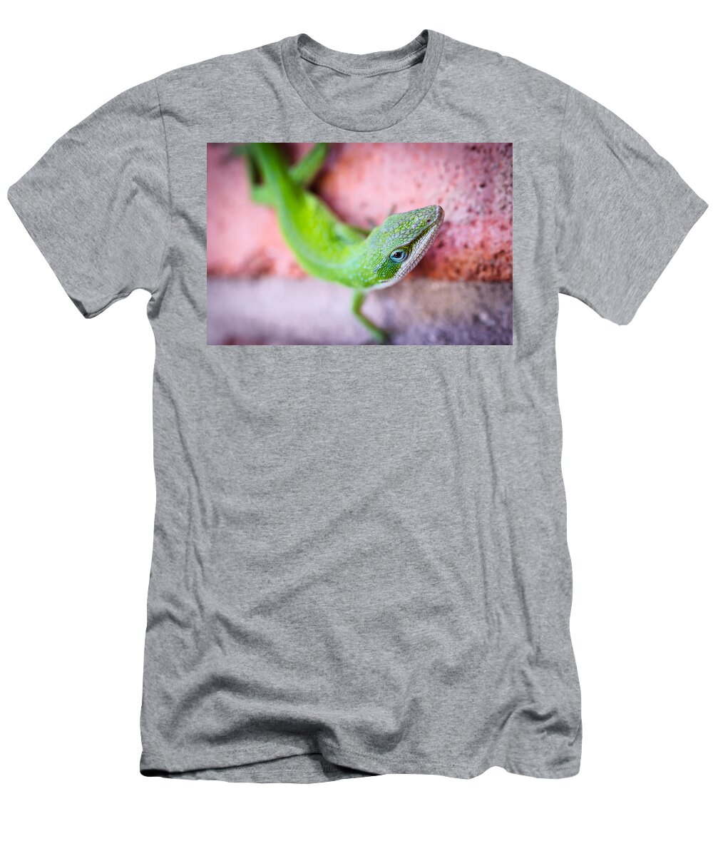 Chameleon T-Shirt featuring the photograph Friendly Lizard by David Downs