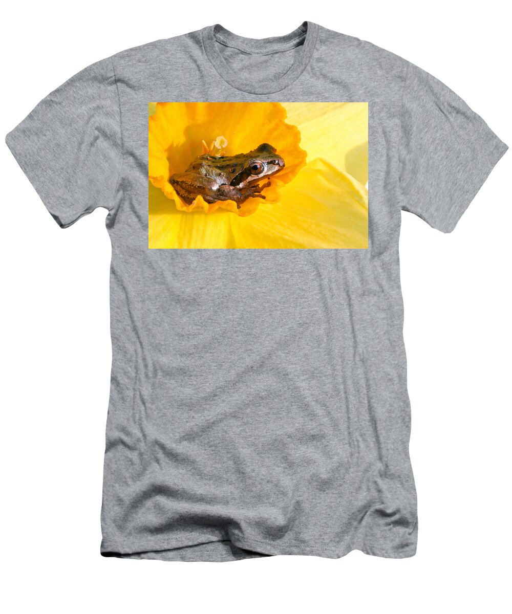 Frog In Daffodil T-Shirt featuring the photograph Frog and daffodil by Jean Noren