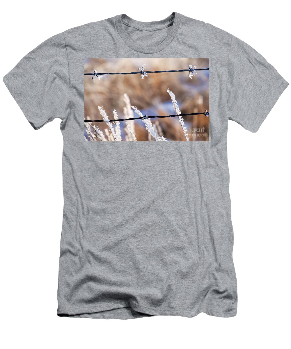 Ice Crystals T-Shirt featuring the photograph Frosted Fence Line by Jim Garrison