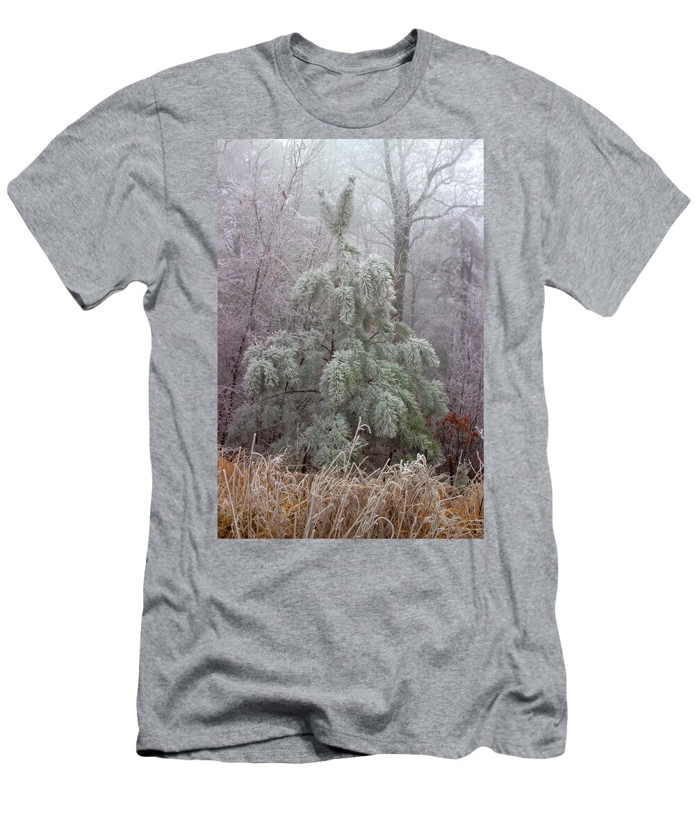 Frosted Pine T-Shirt featuring the photograph Frosty Pine by Michael Eingle