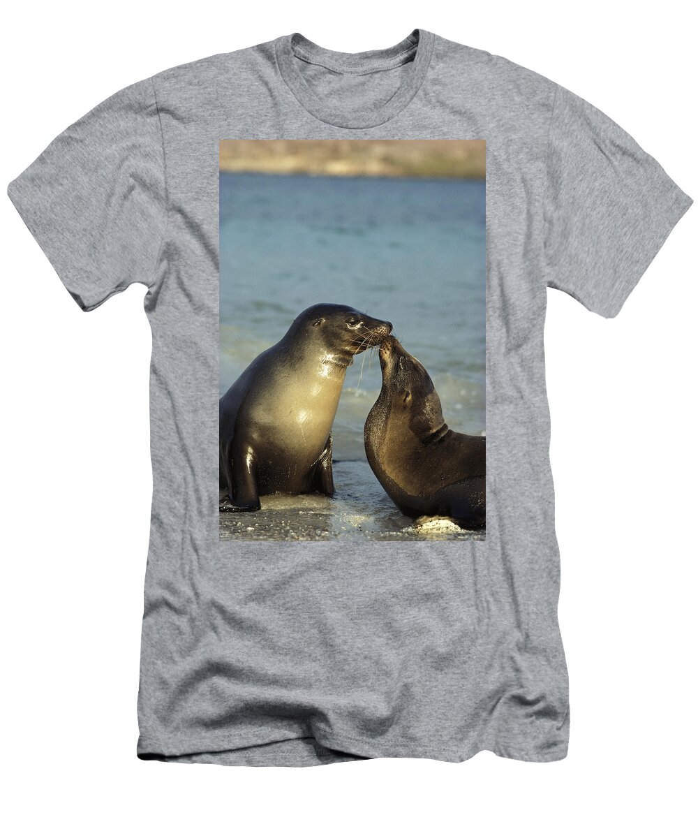 Feb0514 T-Shirt featuring the photograph Galapagos Sea Lion Bulls Greeting by Tui De Roy