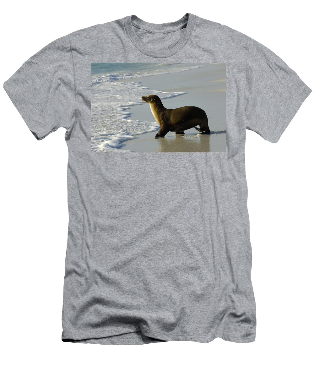 Feb0514 T-Shirt featuring the photograph Galapagos Sea Lion In Gardner Bay by Pete Oxford