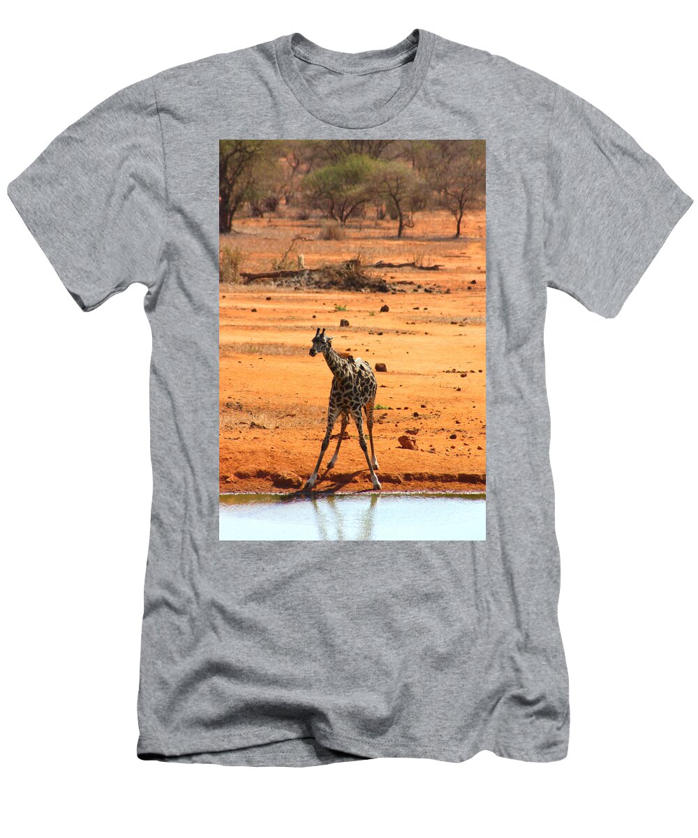 Giraffe T-Shirt featuring the photograph Giraffe At Waterhole by Amanda Stadther
