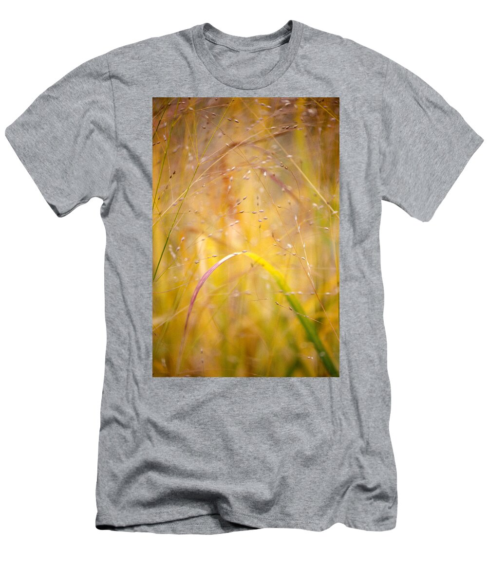 Autumn T-Shirt featuring the photograph Golden Grass by Matthew Pace