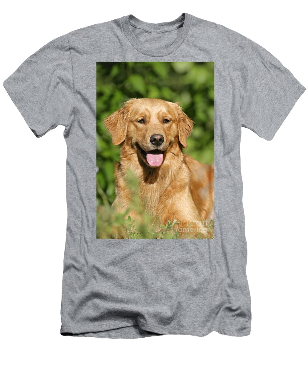 Dog T-Shirt featuring the photograph Golden Retriever by Rolf Kopfle