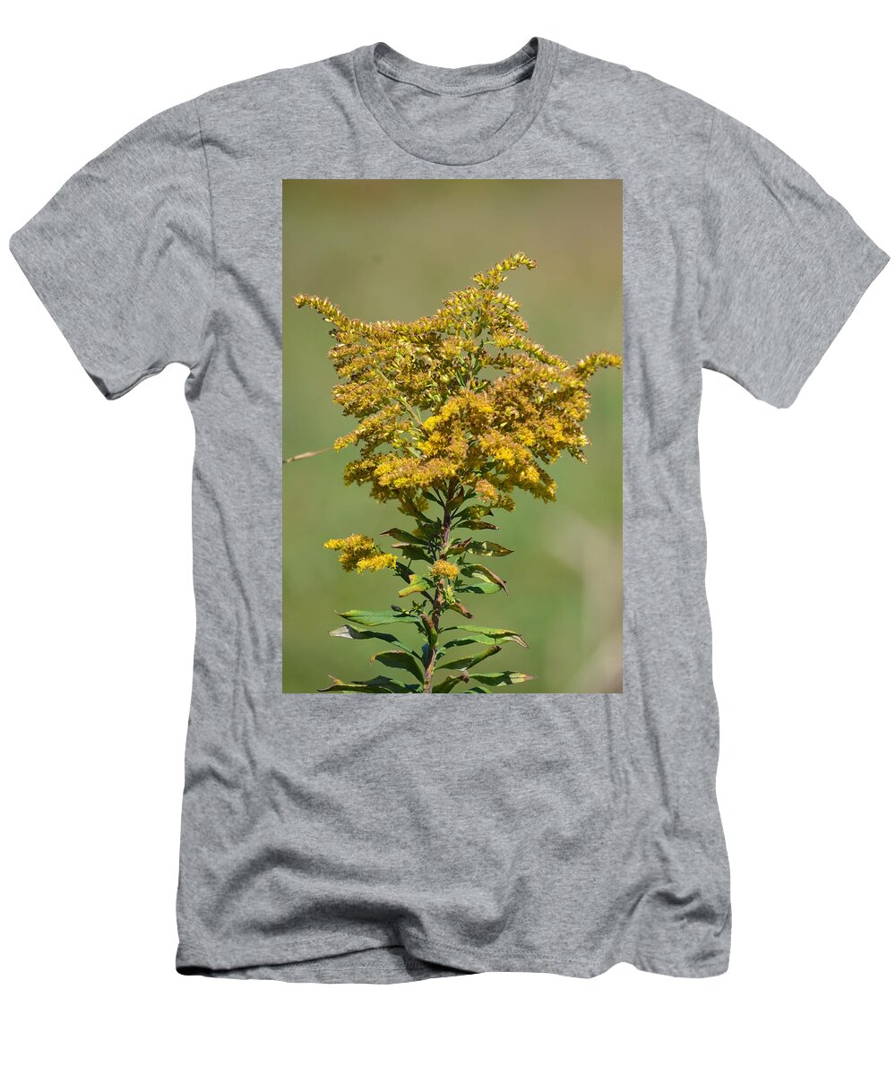 Goldenrod In Autumn T-Shirt featuring the photograph Goldenrod in Autumn by Maria Urso