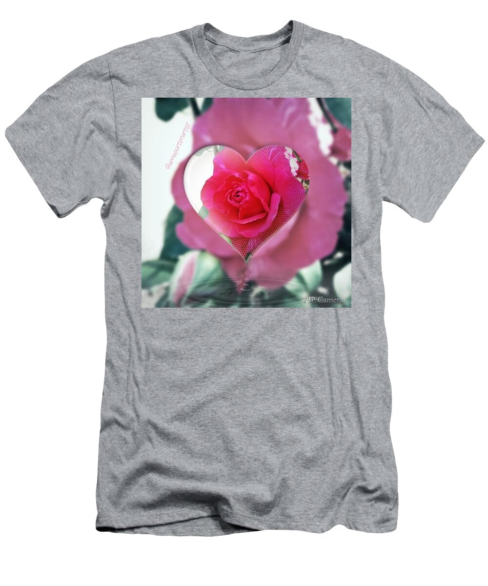 Valentine's Day Rose T-Shirt featuring the photograph Valentine's Day Rose by Anna Porter