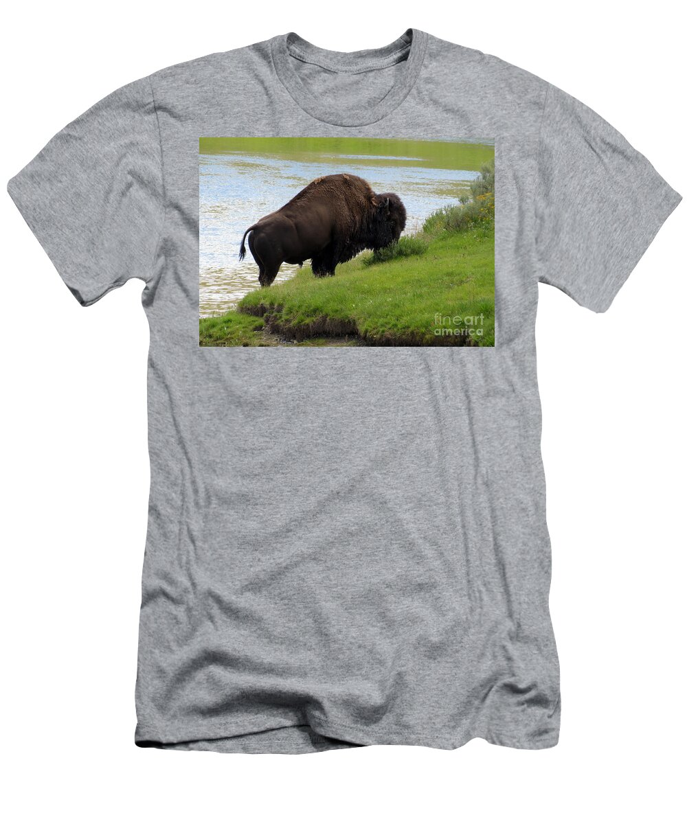 Yellowstone T-Shirt featuring the photograph Grass On The Other Side. Yellowstone Bison by Ausra Huntington nee Paulauskaite