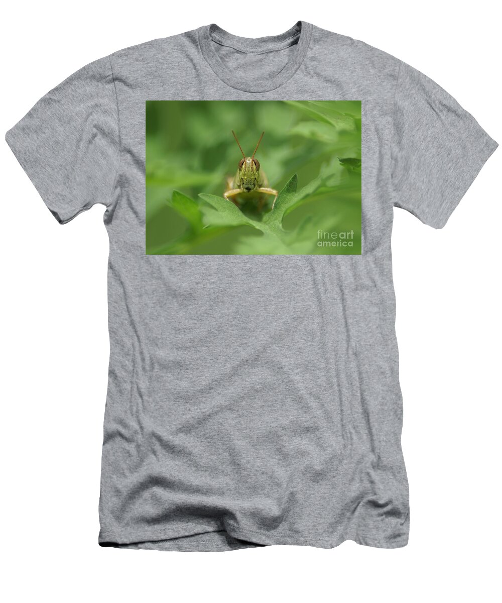 Grasshopper T-Shirt featuring the photograph Grasshopper Portrait by Olga Hamilton
