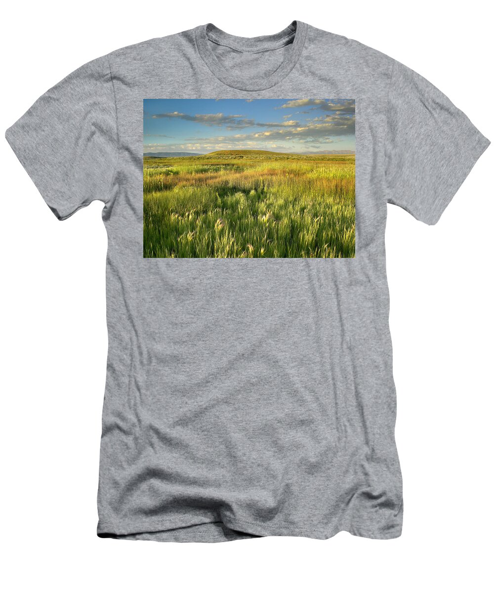 00175296 T-Shirt featuring the photograph Grasslands Arapaho NWR by Tim Fitzharris